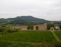 IMG_4429 copy